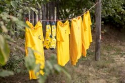 Easy Camp Spirit 300 Tunneltent - 3 Persoons - Groen -Bo-Camp Winkel 1267 1900 waslijn