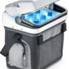 Dometic Bordbar AS 25 Draagbare Elektrische Koelbox - 20 Liter -Bo-Camp Winkel 1900 1900 as25 9105302816 p401