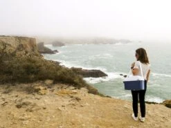 Mobicool MT08 Blauw Autokoelbox - 8 Liter 13 Mobicool MT08 Blauw Autokoelbox - 8 Liter -Bo-Camp Winkel mobicool mt 08 cliff woman 1 resultaat